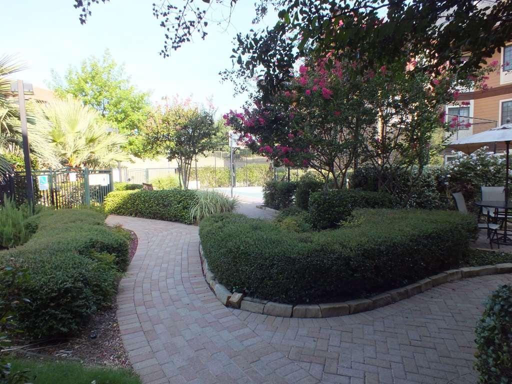 Sonesta Es Suites Dallas - Las Colinas Irving Luaran gambar